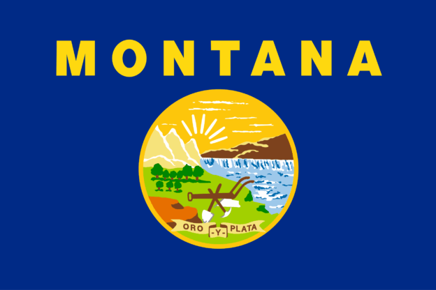 Montana USA Flagge