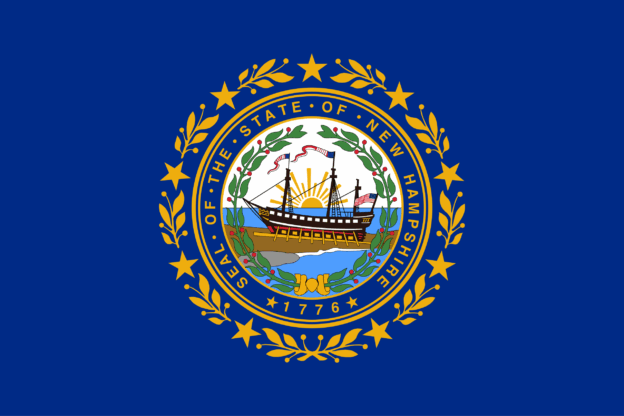 New Hampshire USA Flagge