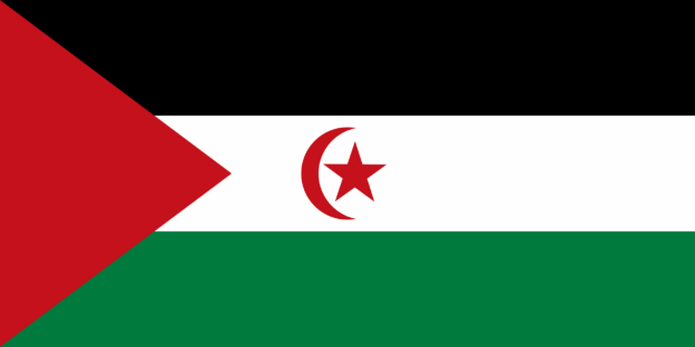 Demokratische Arabische Republik Sahara Flagge