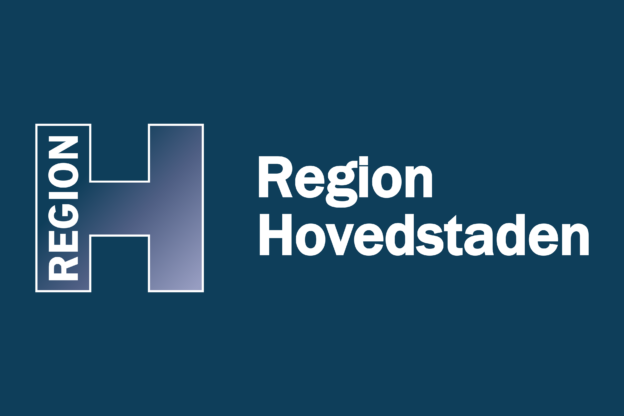 Flagge von Hovedstaden, Daenemark