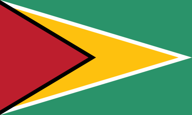 Guyana Flagge