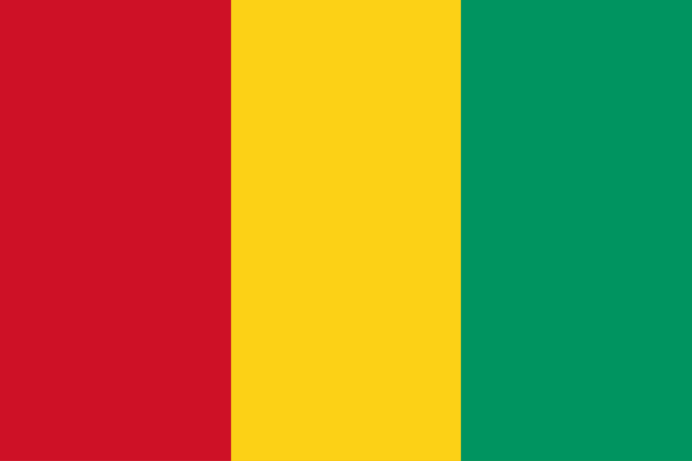 Guinea Flagge