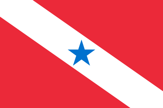 Pará Flagge
