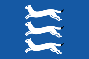 Flagge von Südösterbotten, Finnland